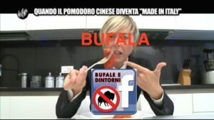 BUFALA- Pomodoro made in China o sensazionalismo made in Italy? Aggiornato Bufale alimentari