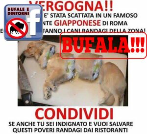 Ristorante giapponese che cucina cani? No, solo l’ennesima bufala Bufale - Leggende Metropolitane
