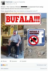 Bufale animali maltrattati
