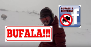 Bufale