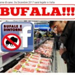 BUFALA – Carne di cane, da Dicembre 2017 legale in Italia.