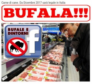 BUFALA – Carne di cane, da Dicembre 2017 legale in Italia. Bufale alimentari