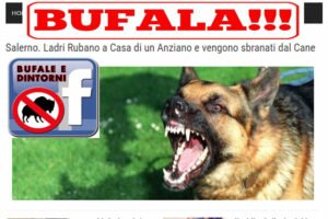 Bufale