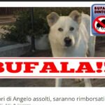 Bufale