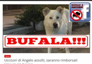 BUFALA – Uccisori di Angelo assolti, saranno rimborsati. Bufale