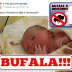 BUFALA – “il mio piccolo mondo” VERGOGNATEVI