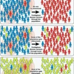 VACCINI – Quando CAPIRE diventa davvero vitale!!!