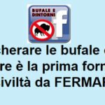 Il dolore e la disinformazione.