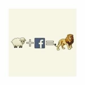Facebook, equazione perfetta. In evidenza