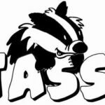 TASSO